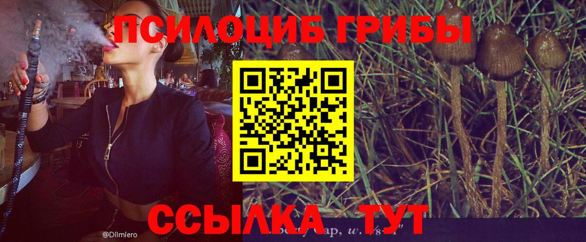 Саранск  Псилоцибиновые грибы мицелий  Вход с VPN 