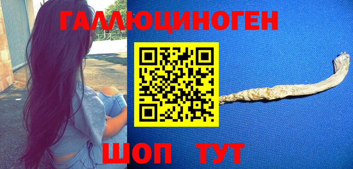 Псилоцибиновые грибы мухоморы Саранск